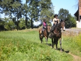 Reiten